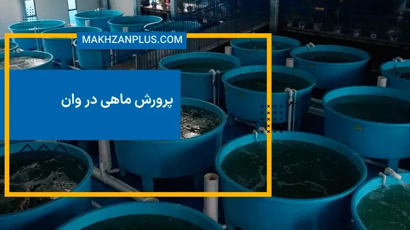پرورش ماهی در وان